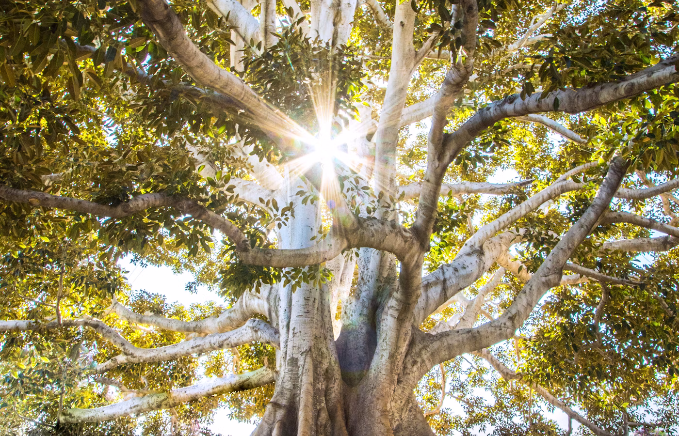 Ресурс для предпринимателя